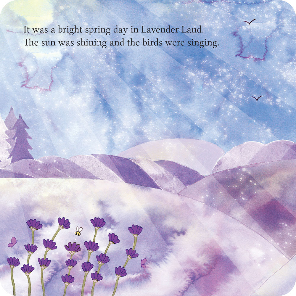 A Special Secret Place Board Book - Clean Bundle