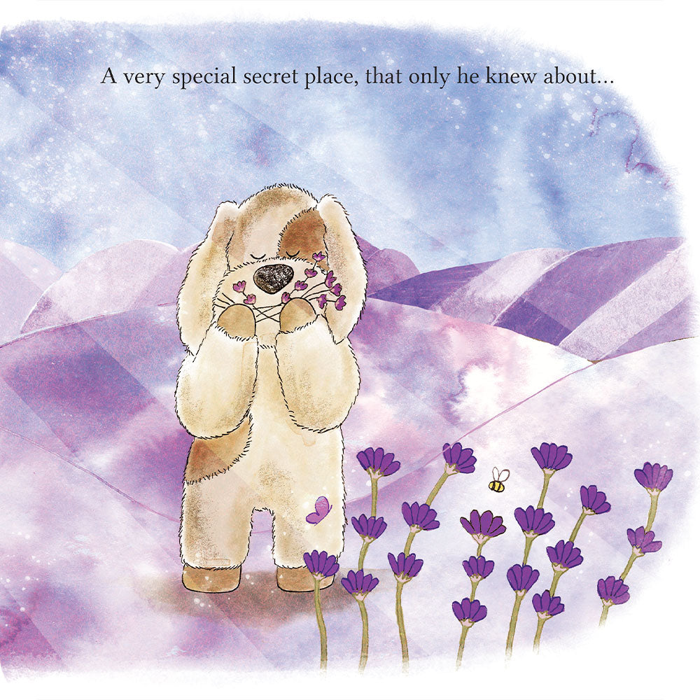 A Special Secret Place Board Book - Clean Bundle