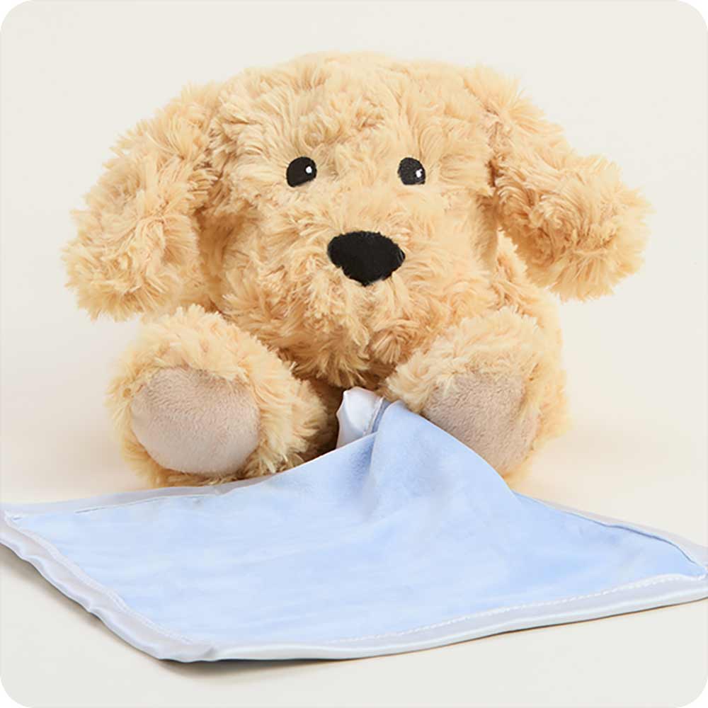 Golden Dog Blankie Warmies - Gentle Mist