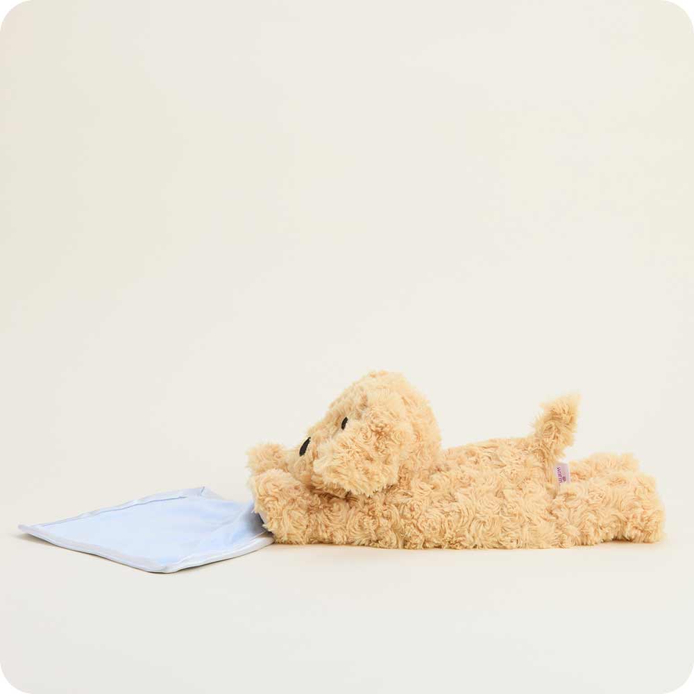 Golden Dog Blankie Warmies - Gentle Mist