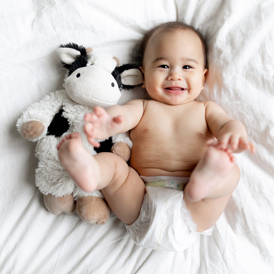 Black and White Cow Warmies - Essential Set