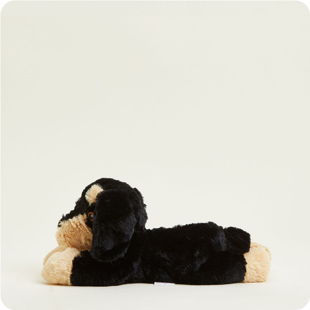 Dachshund Warmies - Classic Notes