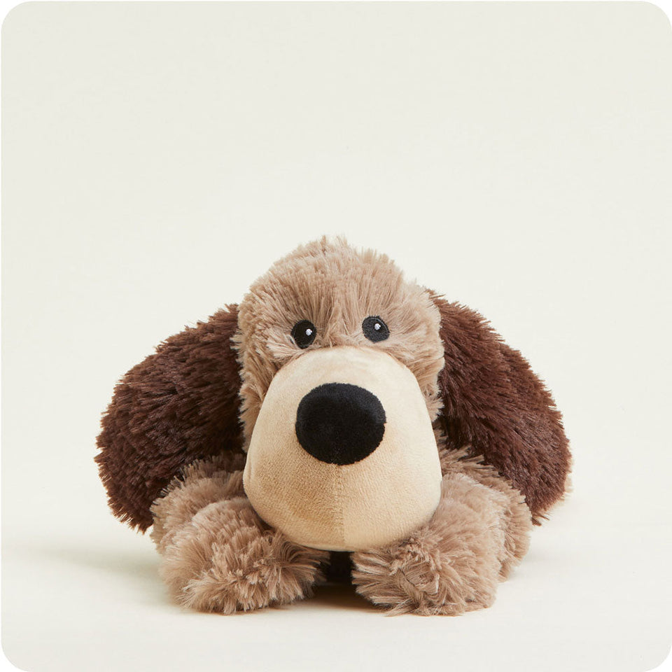 Brown Dog Warmies - Fresh Notes