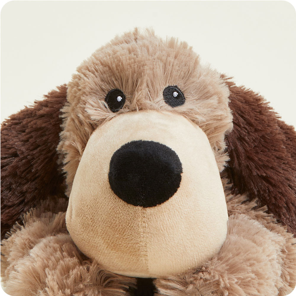 Brown Dog Warmies - Fresh Notes