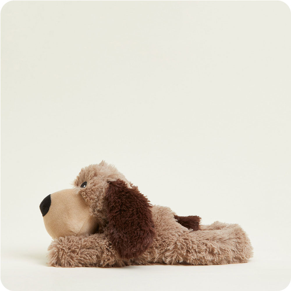 Brown Dog Warmies - Fresh Notes