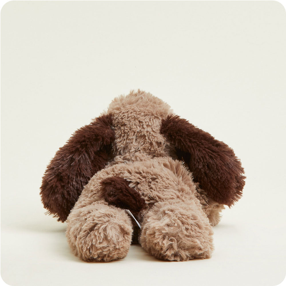Brown Dog Warmies - Fresh Notes