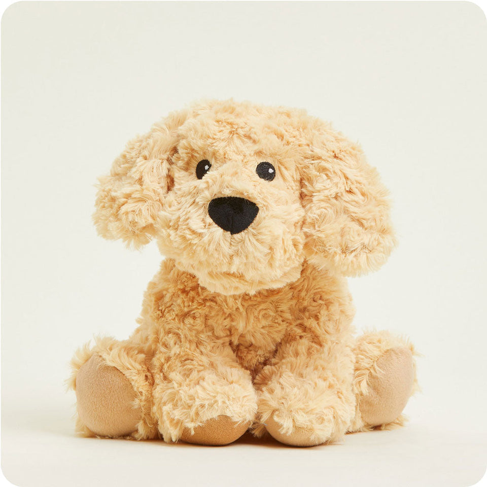 Golden Dog Warmies - Classic Notes