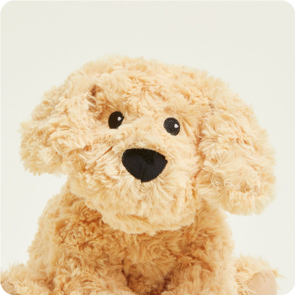Golden Dog Warmies - Classic Notes