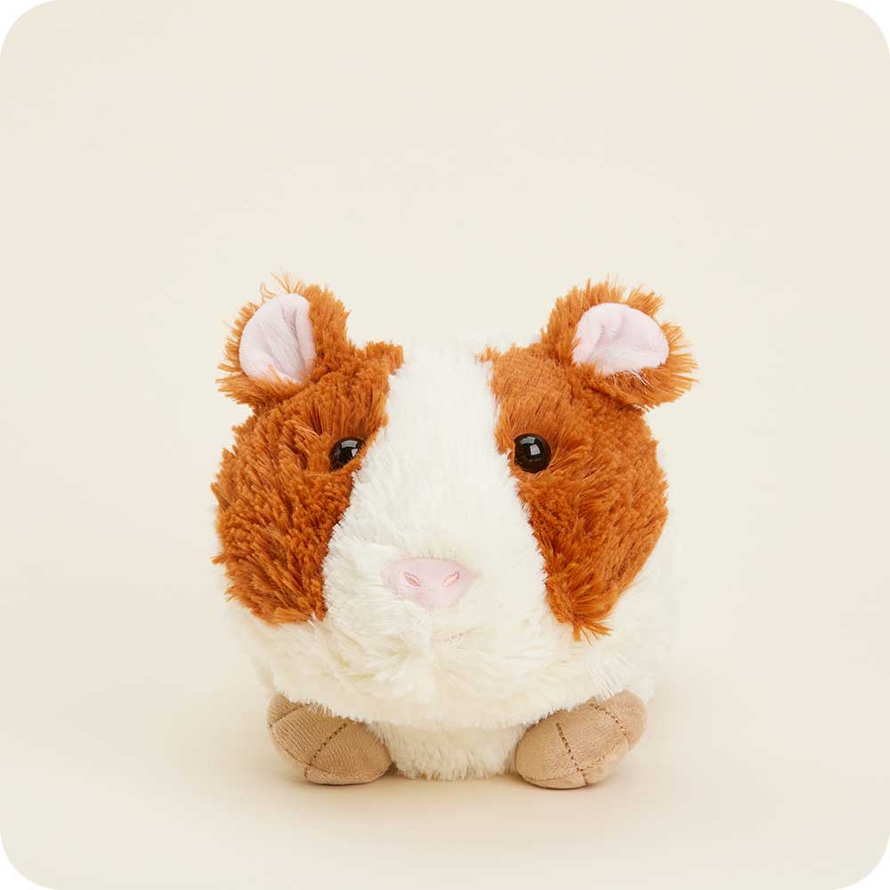 Guinea Pig Warmies - Easy Spritz