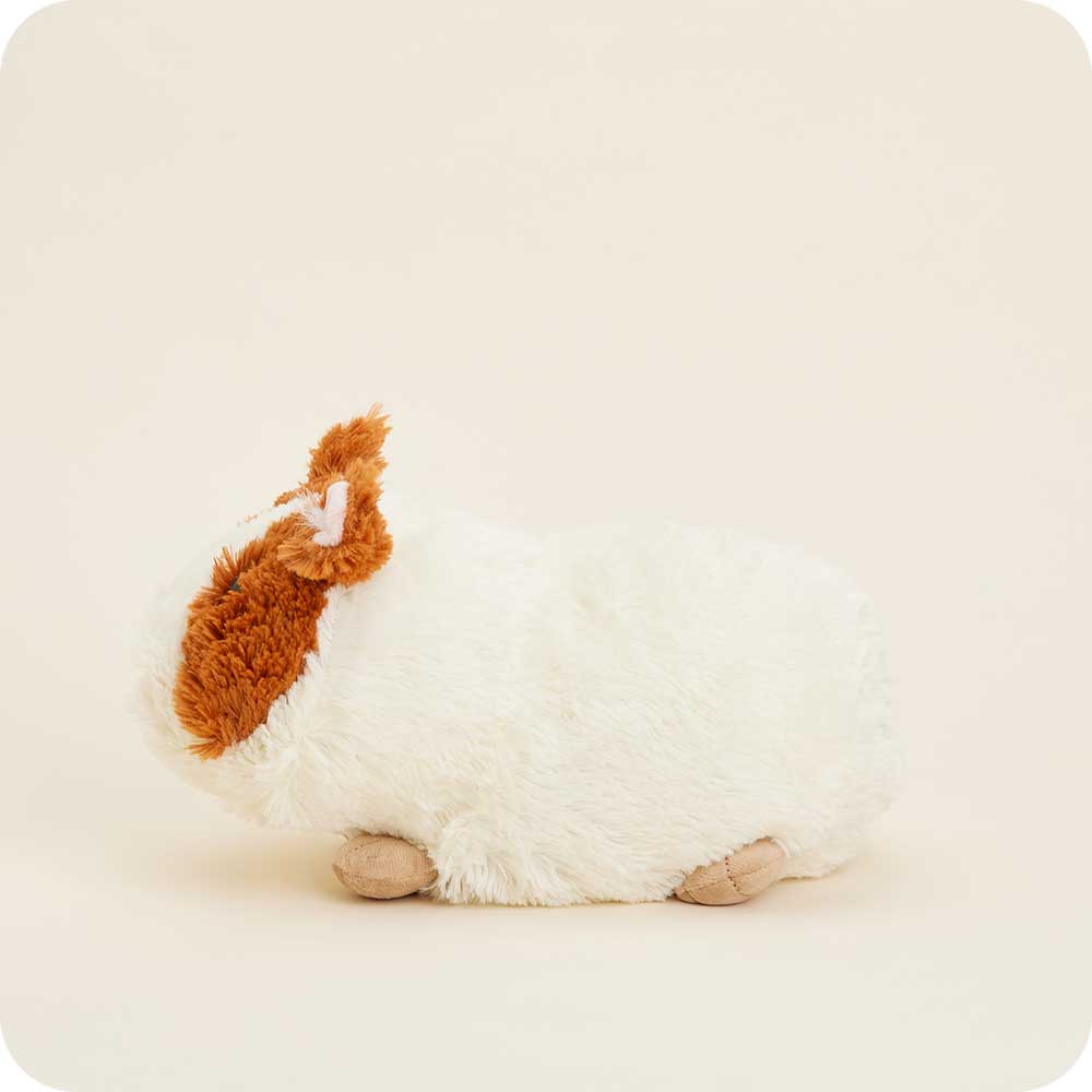 Guinea Pig Warmies - Easy Spritz