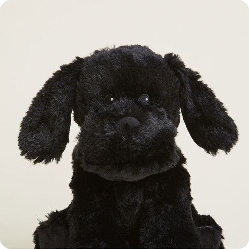 Black Labrador Warmies - Modern Blend