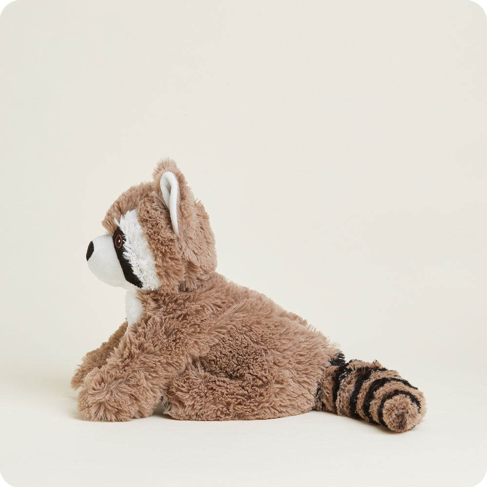 Raccoon Warmies - Classic Notes