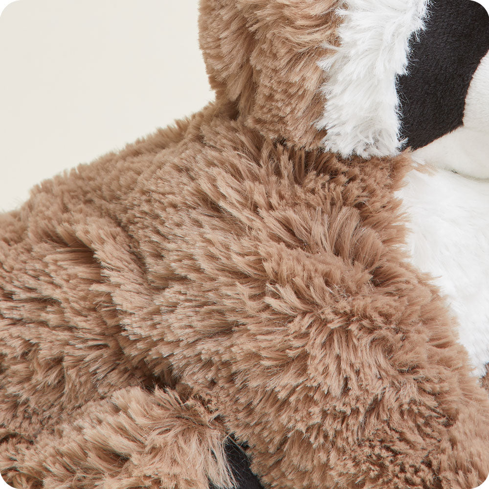 Raccoon Warmies - Classic Notes