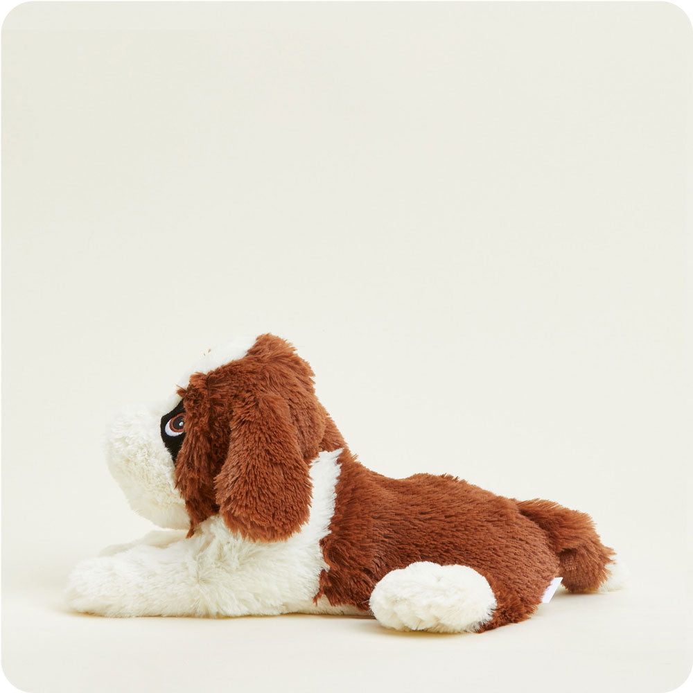 St. Bernard Warmies - Modern Blend
