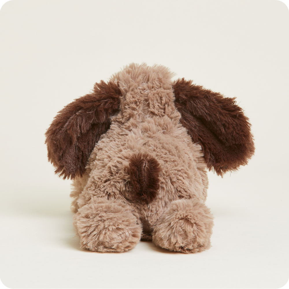 Brown Dog Warmies Junior - Gentle Mist