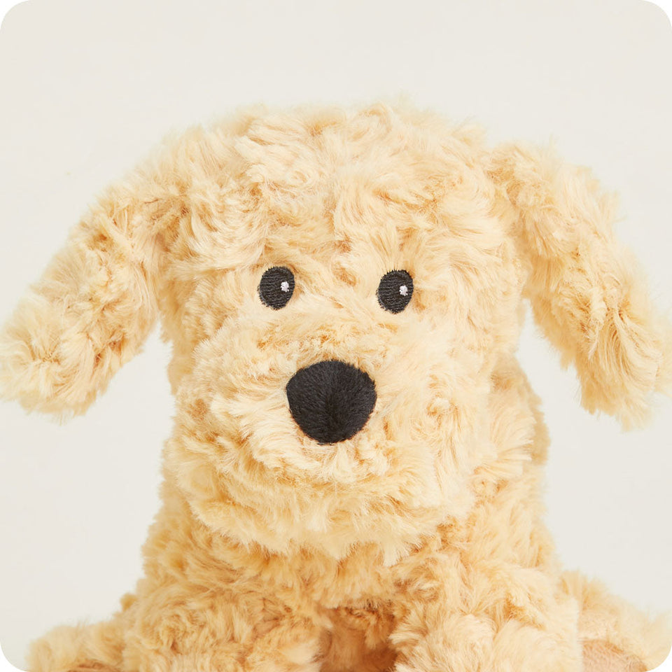 Golden Dog Warmies Junior - Bright Scent