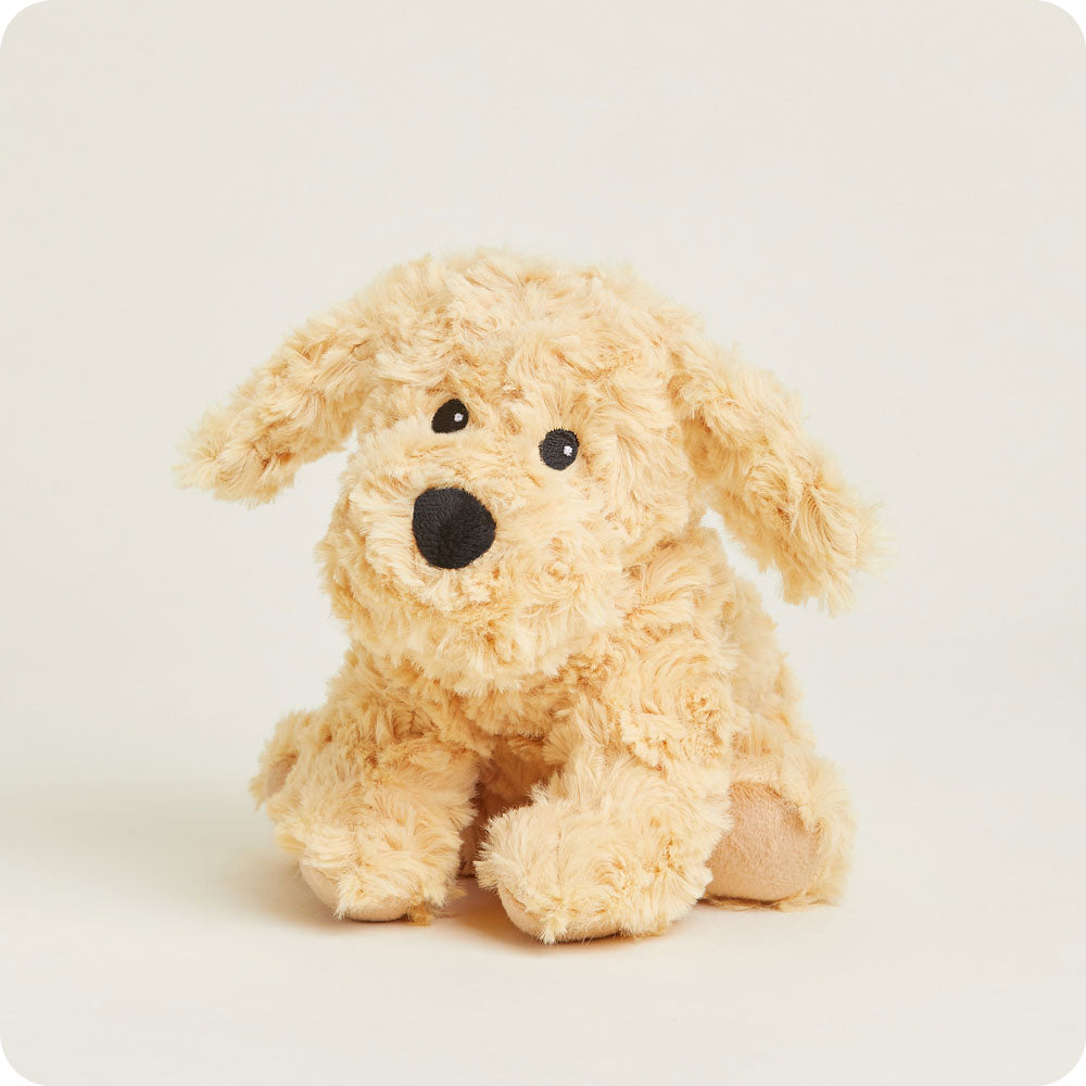 Golden Dog Warmies Junior - Bright Scent