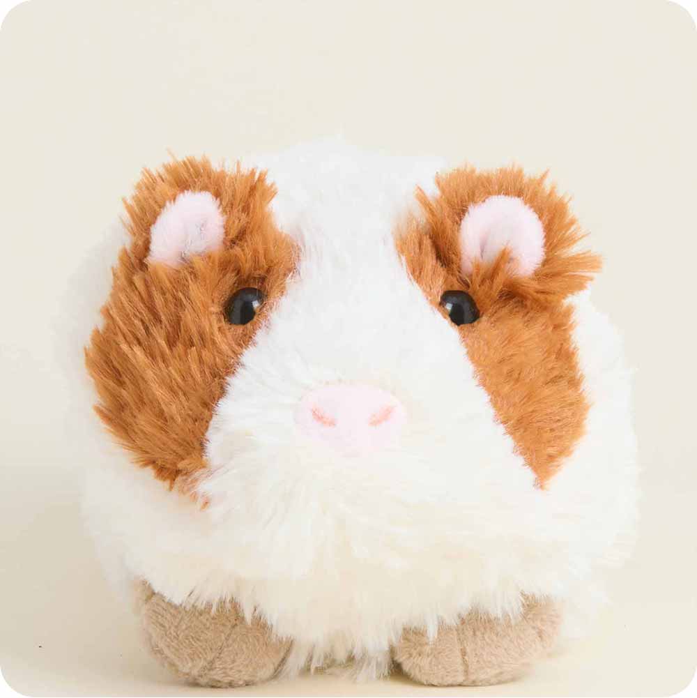Guinea Pig Warmies Junior - Modern Blend