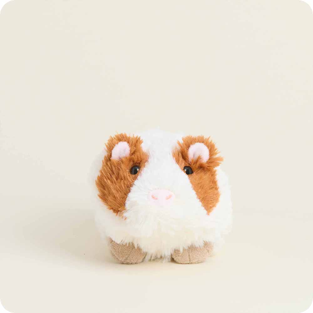Guinea Pig Warmies Junior - Modern Blend
