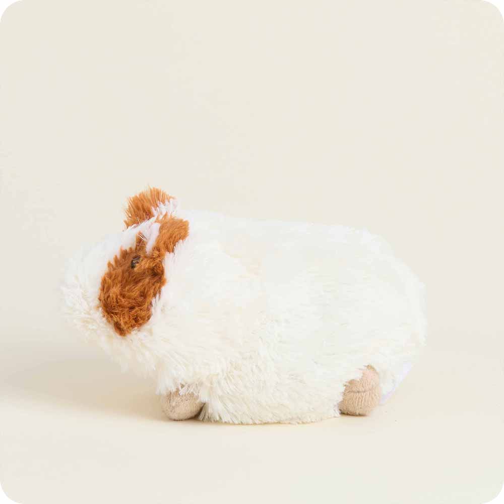 Guinea Pig Warmies Junior - Modern Blend
