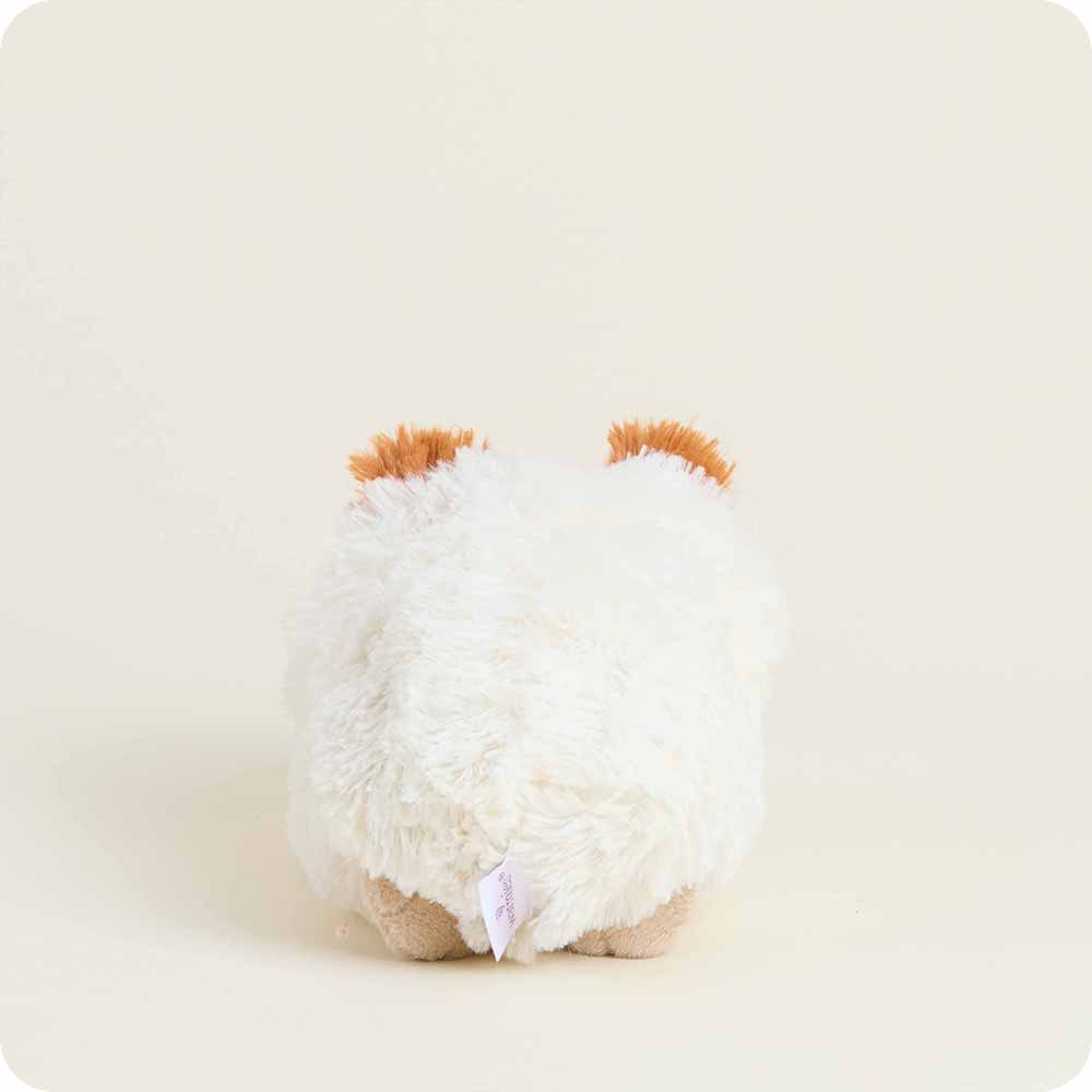 Guinea Pig Warmies Junior - Modern Blend
