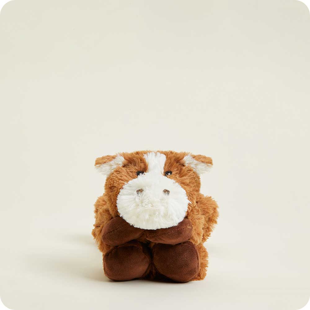 Horse Warmies Wrap - Essential Set