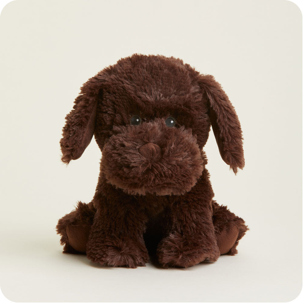 Chocolate Labrador Warmies - Classic Notes
