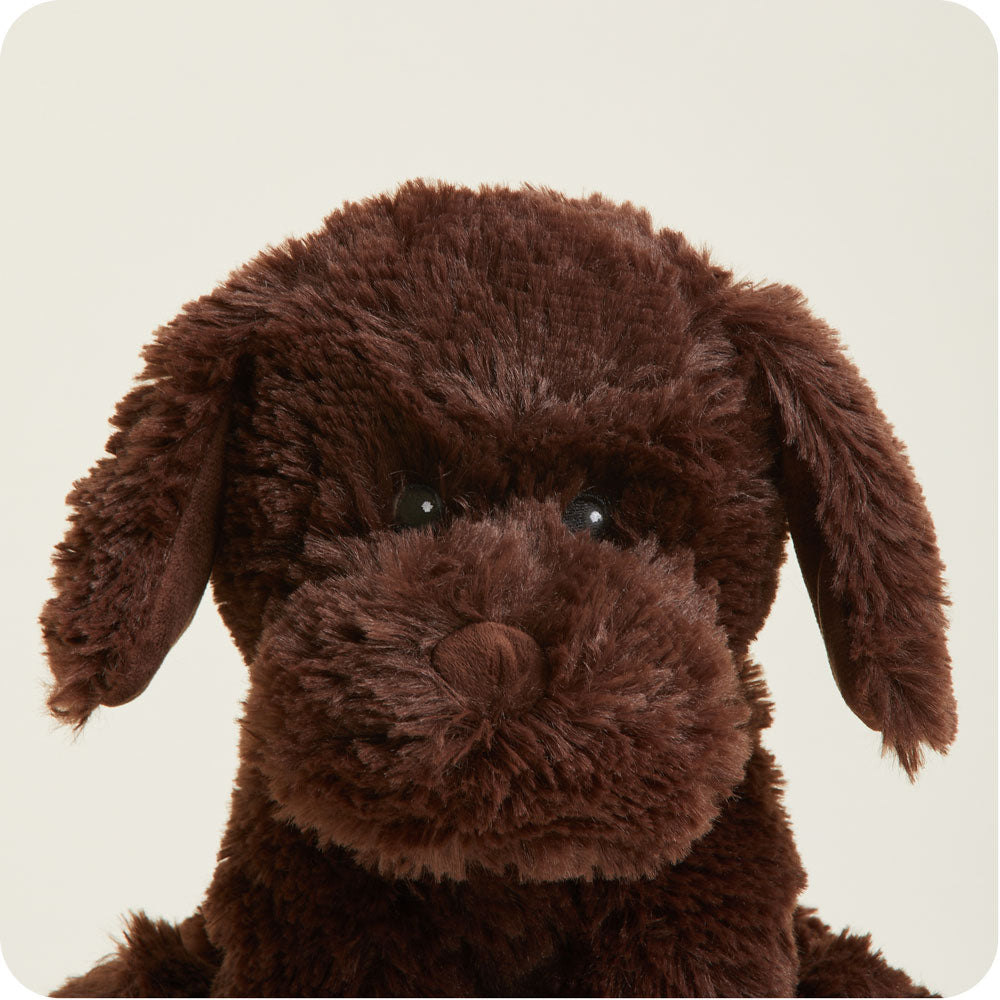 Chocolate Labrador Warmies - Classic Notes