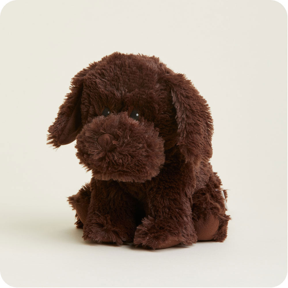 Chocolate Labrador Warmies - Classic Notes
