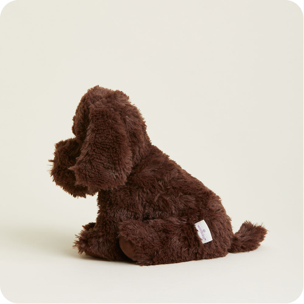 Chocolate Labrador Warmies - Classic Notes