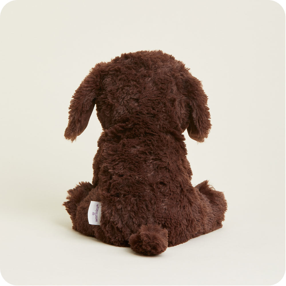 Chocolate Labrador Warmies - Classic Notes
