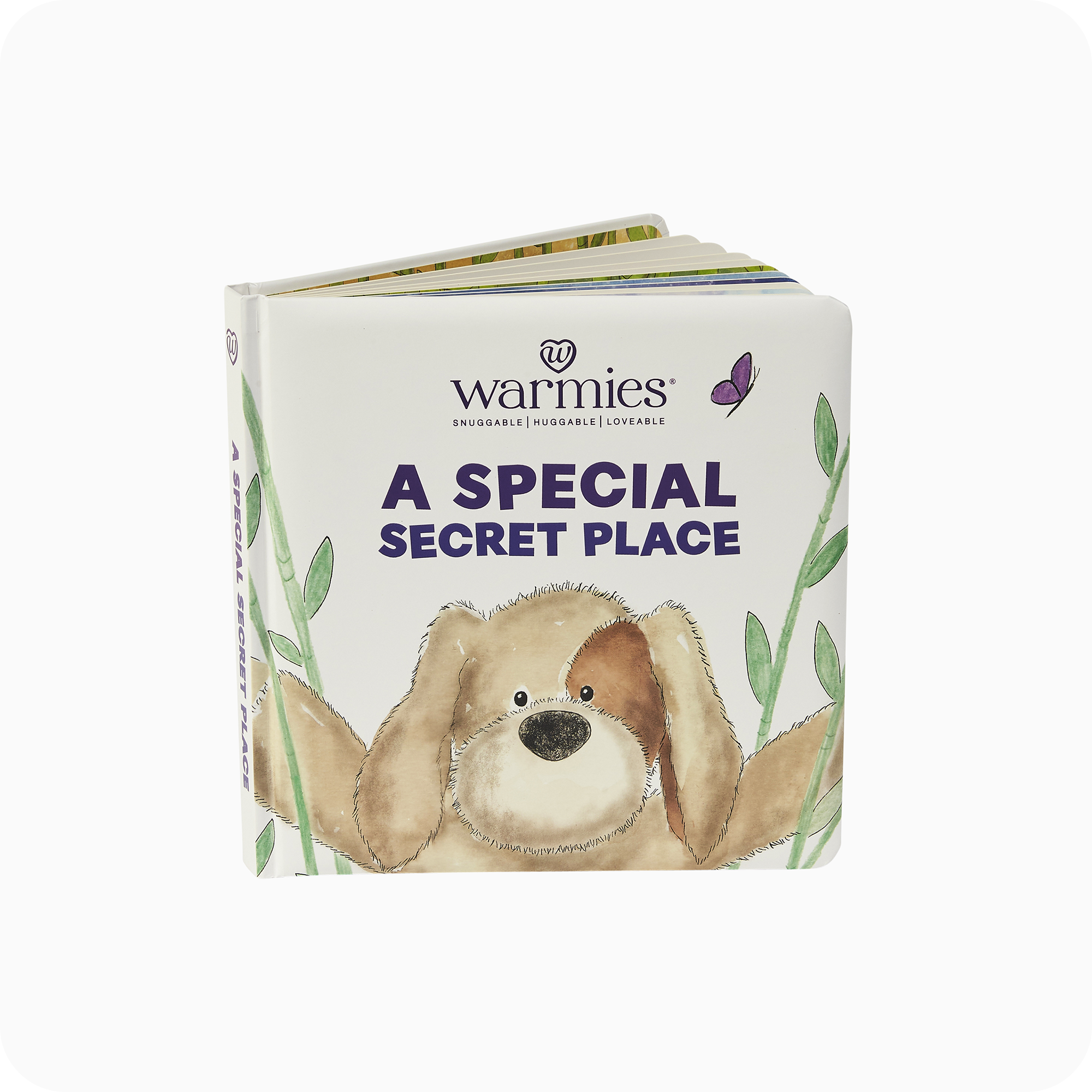 A Special Secret Place Board Book - Clean Bundle