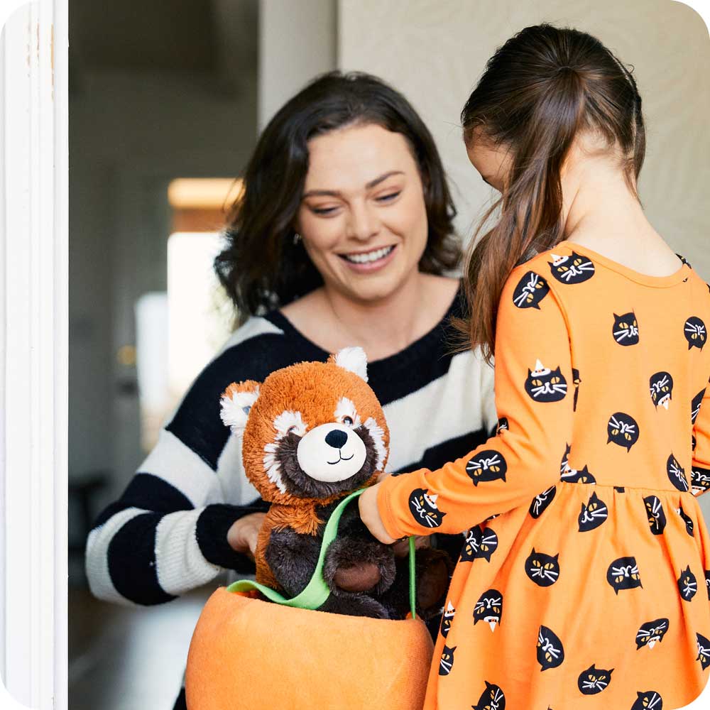 Red Panda Warmies - Modern Blend