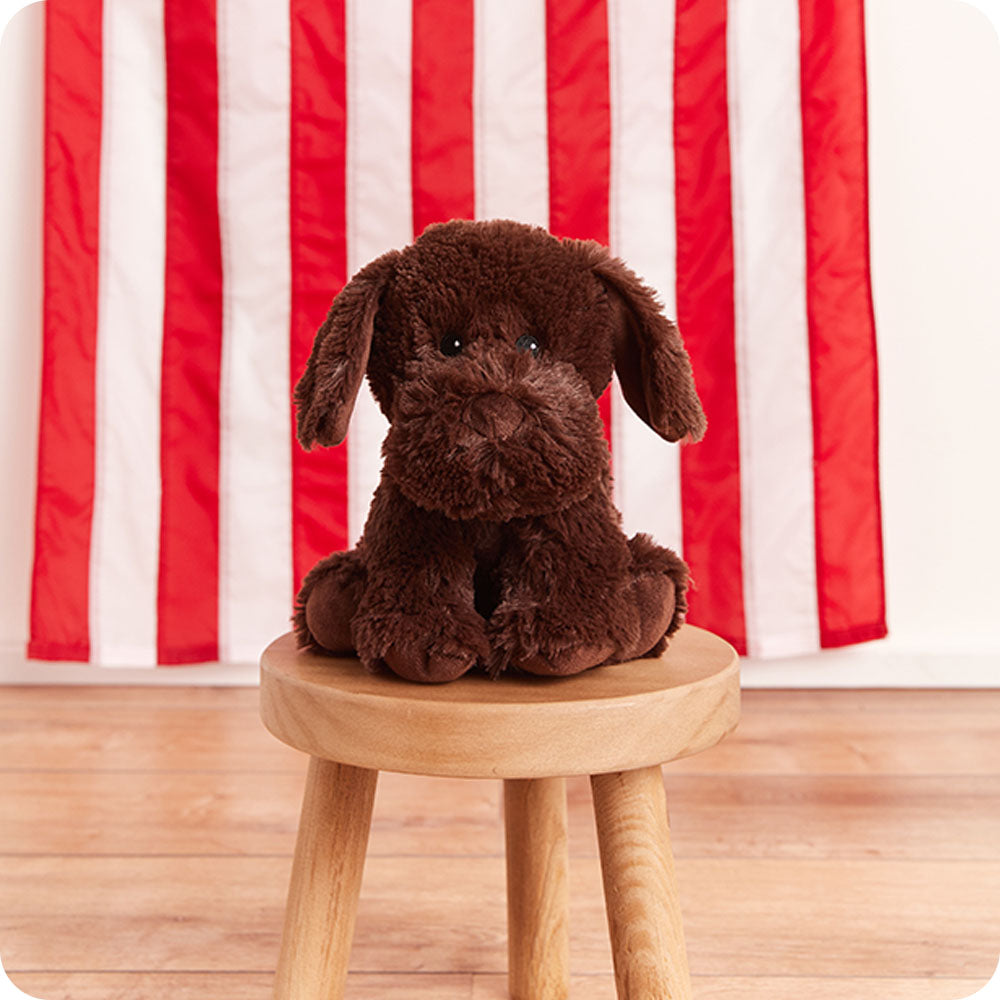 Chocolate Labrador Warmies - Classic Notes