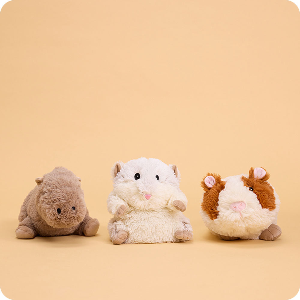 Guinea Pig Warmies - Easy Spritz